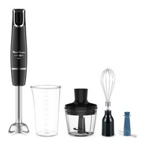 Bras Mixeur 4 en 1 Moulinex DD944810