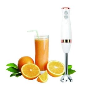 Multismart Bras Mixeur - inox -HB2201-600w