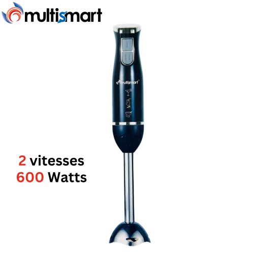 Multismart Bras Mixeur 600W avec pied et lames en inox - HB2107