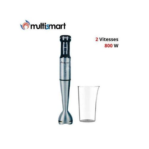 Multismart Bras Mixeur Inox - 800W Avec Tasse 600ml HB2219