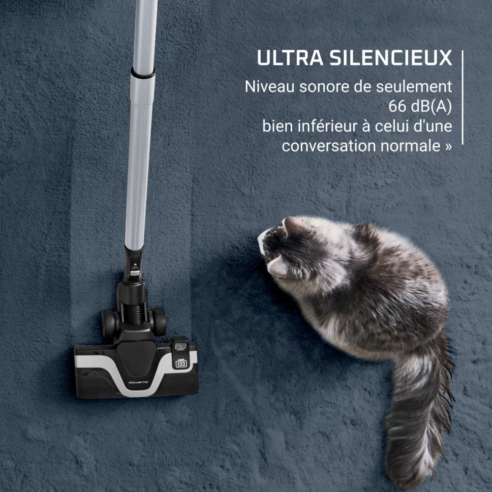 Aspirateur sans sac Rowenta GREEN FORCE CYLONIC RO7C71EA – Image 4