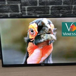 PROMOTION Télévision 32p simple marque géant Qled avec démo intégré
