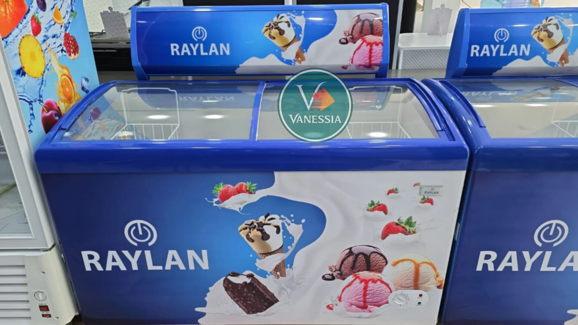 Congélateur Présentoir Marque Raylan 328L