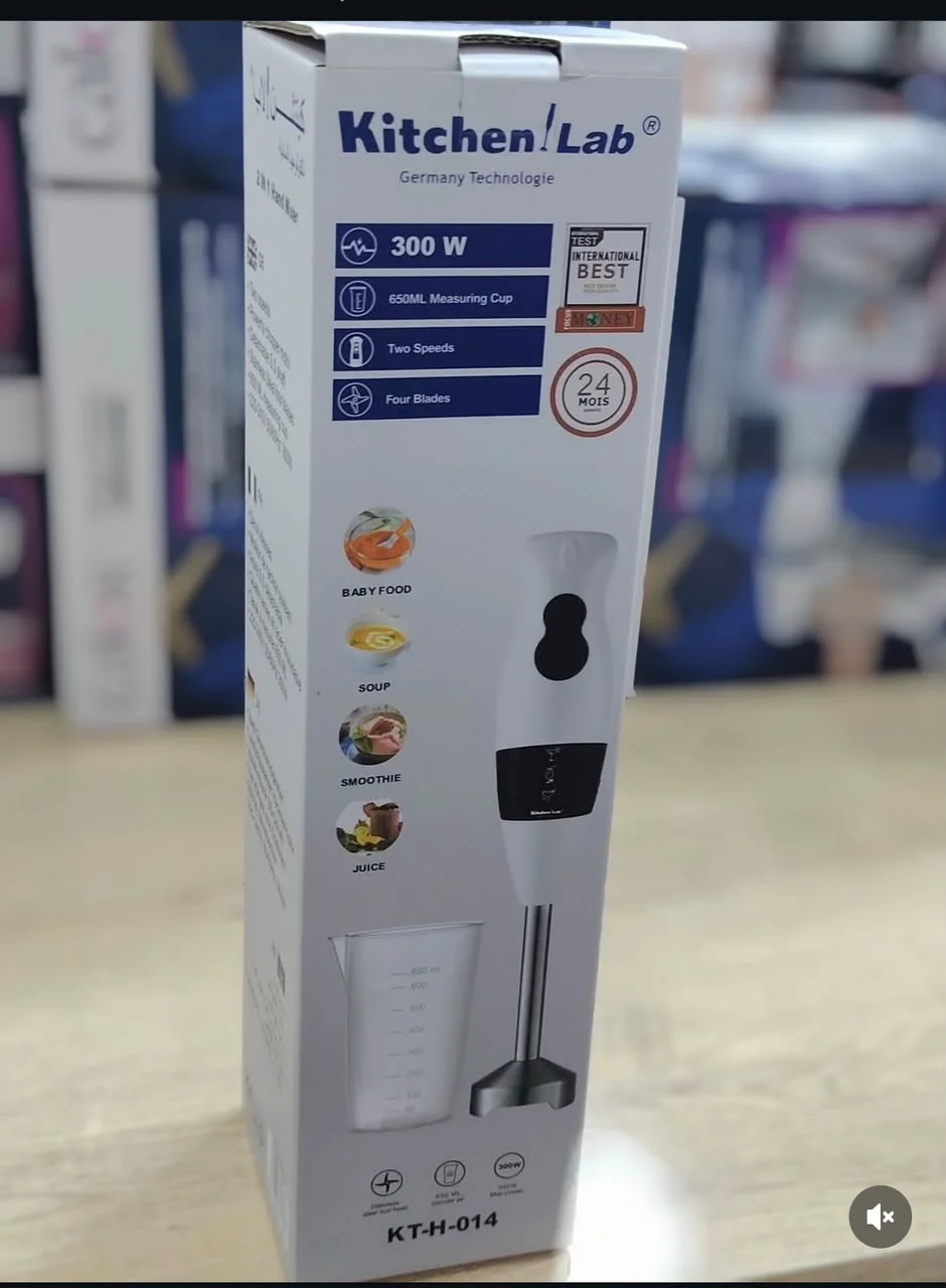 bras mixeur kitchenLab 300 w